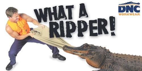 DNC Banner