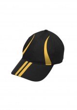 bizfc29100_black_gold