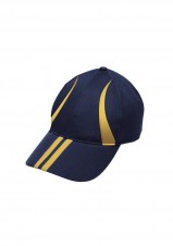 bizfc29100_navy_gold