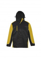 bizj10110_black_yellow