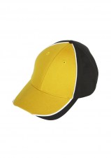 biznc10100_black_yellow