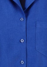 bizs265ls_zoom