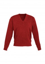 bizwp6008_red