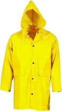 dnc3702_yellow