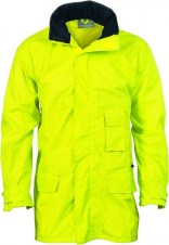 dnc3706_yellow