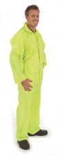dnc3708_yellow02