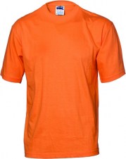 dnc3847_orange