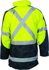 dnc3998_yellownavyback
