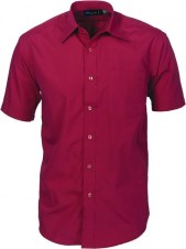 dnc4151_cherry