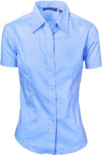 dnc4231_blue