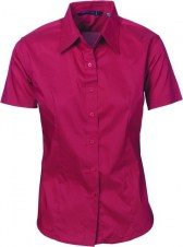 dnc4231_cherry