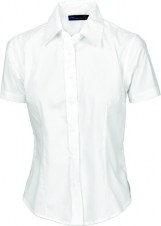 dnc4231_white
