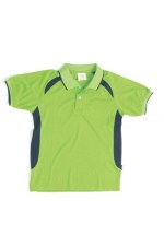 dnc5263_limenavy
