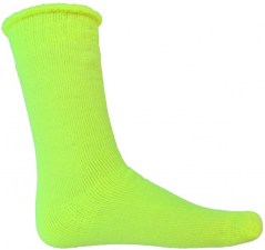 dncs103_yellow