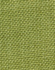 splm8601_avocado_l