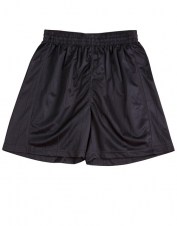 splss25_navy_big