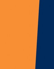 splsw201_orange navy_l