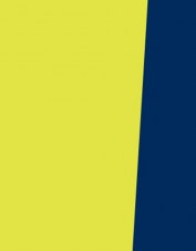 splsw201_yellow navy_l