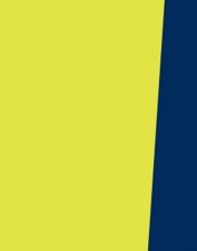 splsw204_yellow navy_l