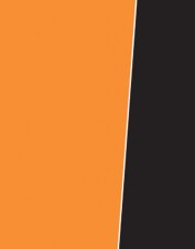 splsw28a_orange black_l