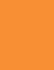 splsw37_orange navy_l