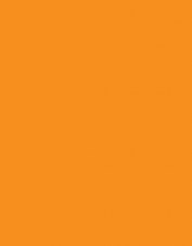 splsw56_orange_l