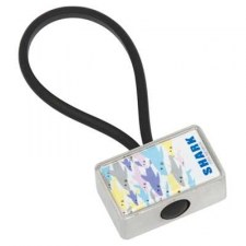 tpcc8301id_globus_keyring_rectangle_2